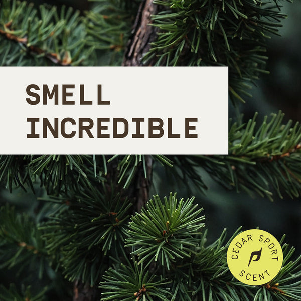 Close-up of pine needles with 'Smell Incredible' text and Cedar Sport Scent logo.