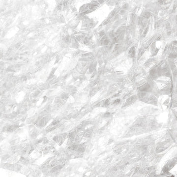 From the Desk of Jessica Snell: PAPATUI Chief Scientific Officer