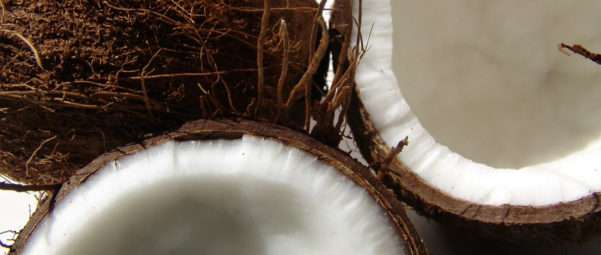 Close-up of a split coconut with a focus on the white interior.
