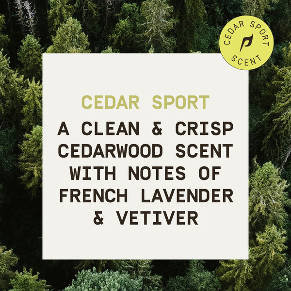 PAPATUI™ Cedar Sport Mens Enriching Big Bar Soap 7oz features an aerial view of a dense green forest with a bold text overlay describing the "CEDAR SPORT" scent as a clean and crisp cedarwood fragrance with notes of French lavender and vetiver. A yellow "Cedar Sport Scent" badge is placed in the top right corner, reinforcing the soap’s signature scent.