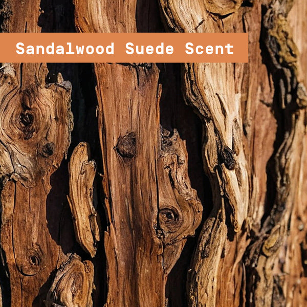 Close-up of sandalwood with 'Sandalwood Suede Scent' text overlay  - Papatui Shampoo and Conditioner