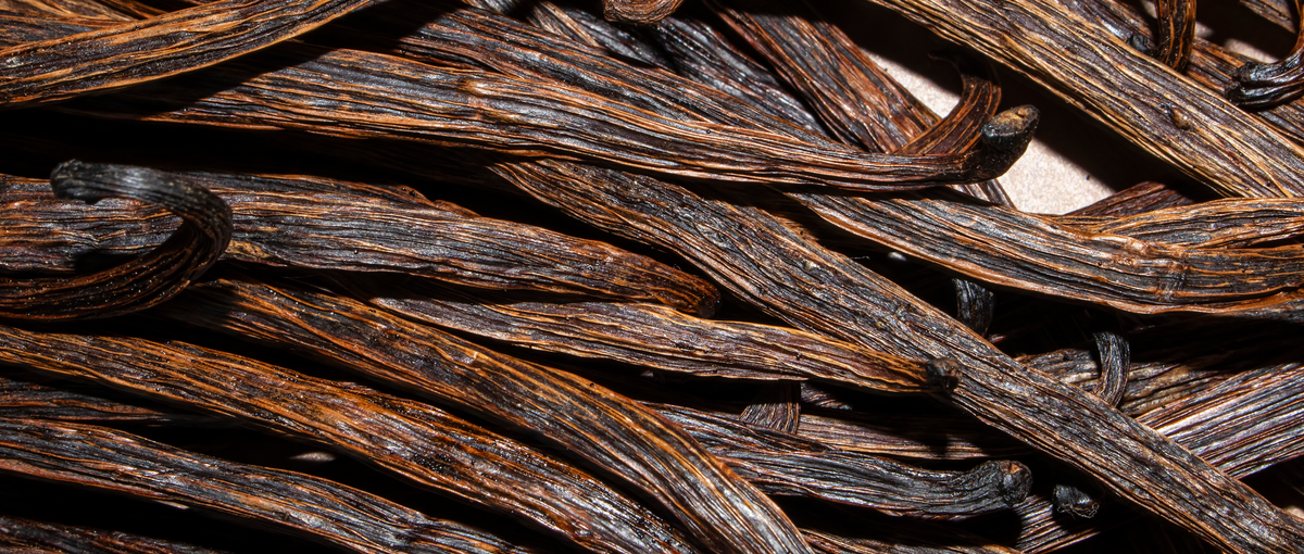 Close-up of vanilla beans.