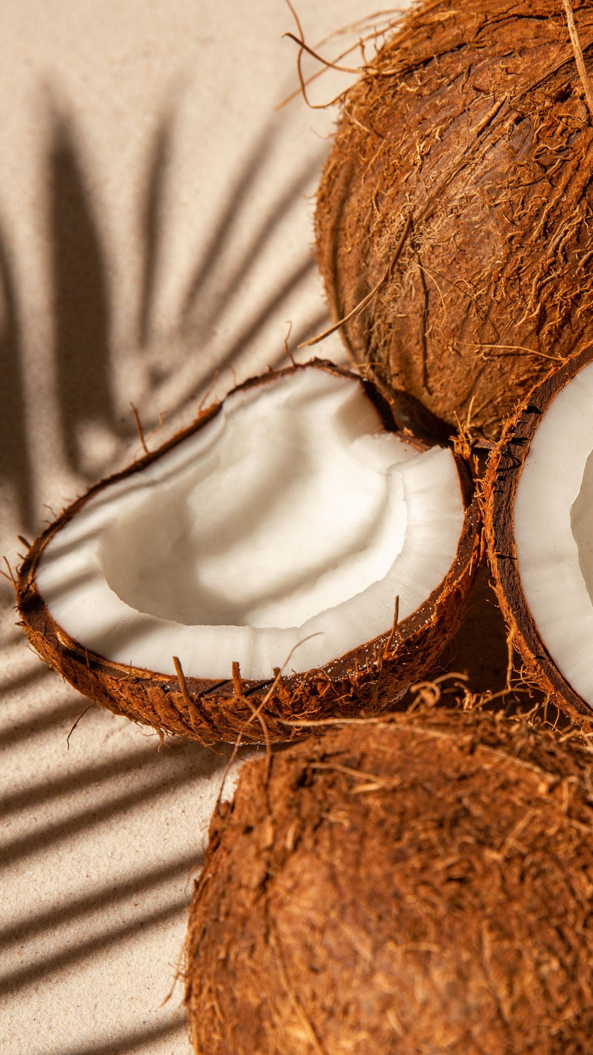 Close-up of coconuts on a beige background