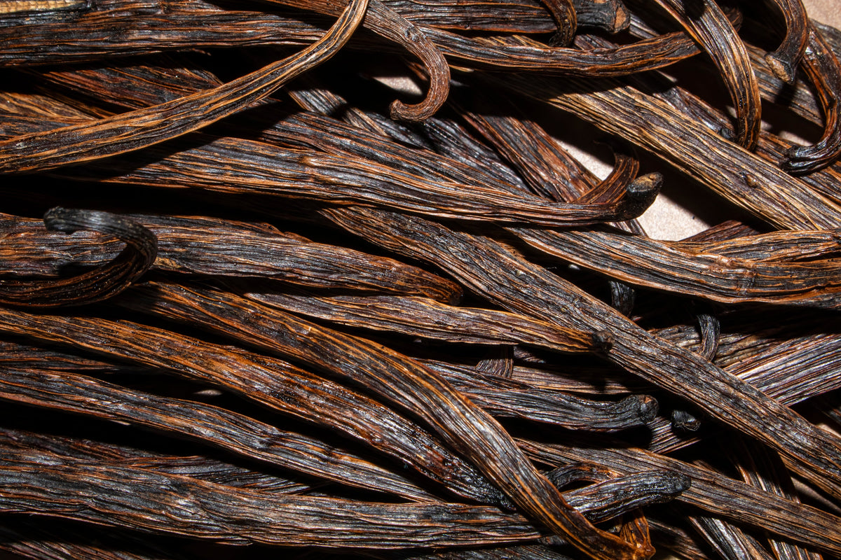 Close-up of dark brown vanilla beans