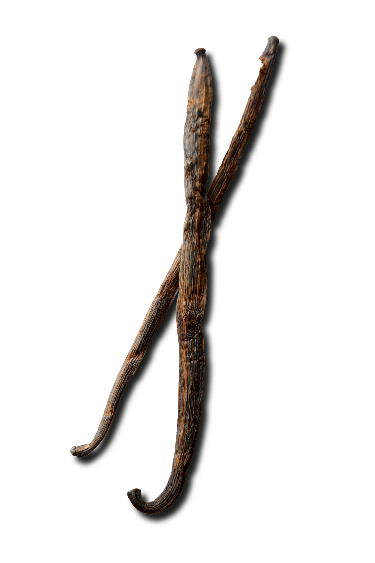 Two vanilla beans