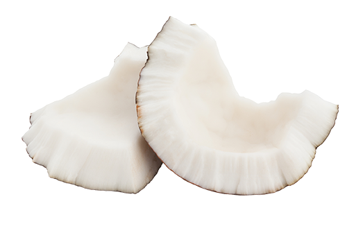 Two pieces of white coconut